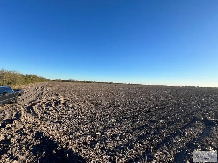 40 Ac. Williams Rd., San Benito, TX 78586 - #3