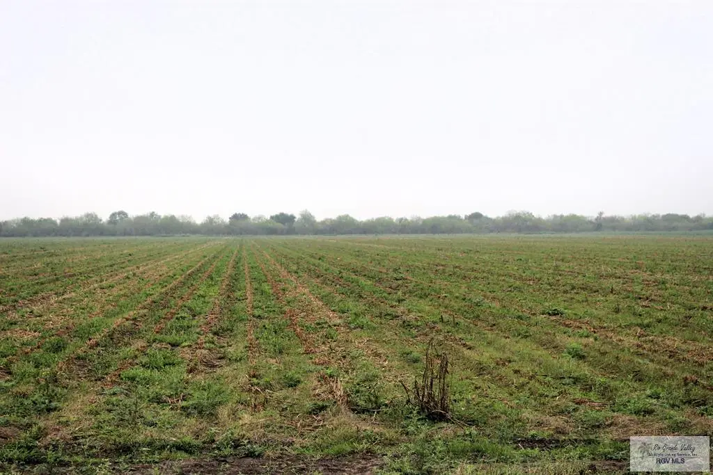 00 Fm 2556, Santa Rosa, TX 78593 - #1