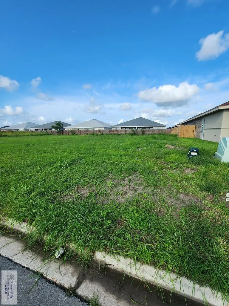 0000 Gabriella St, Harlingen, TX 78550 - #1