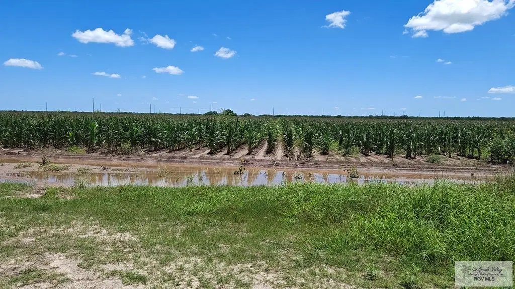 675 Fm, San Benito, TX 78586 - #1