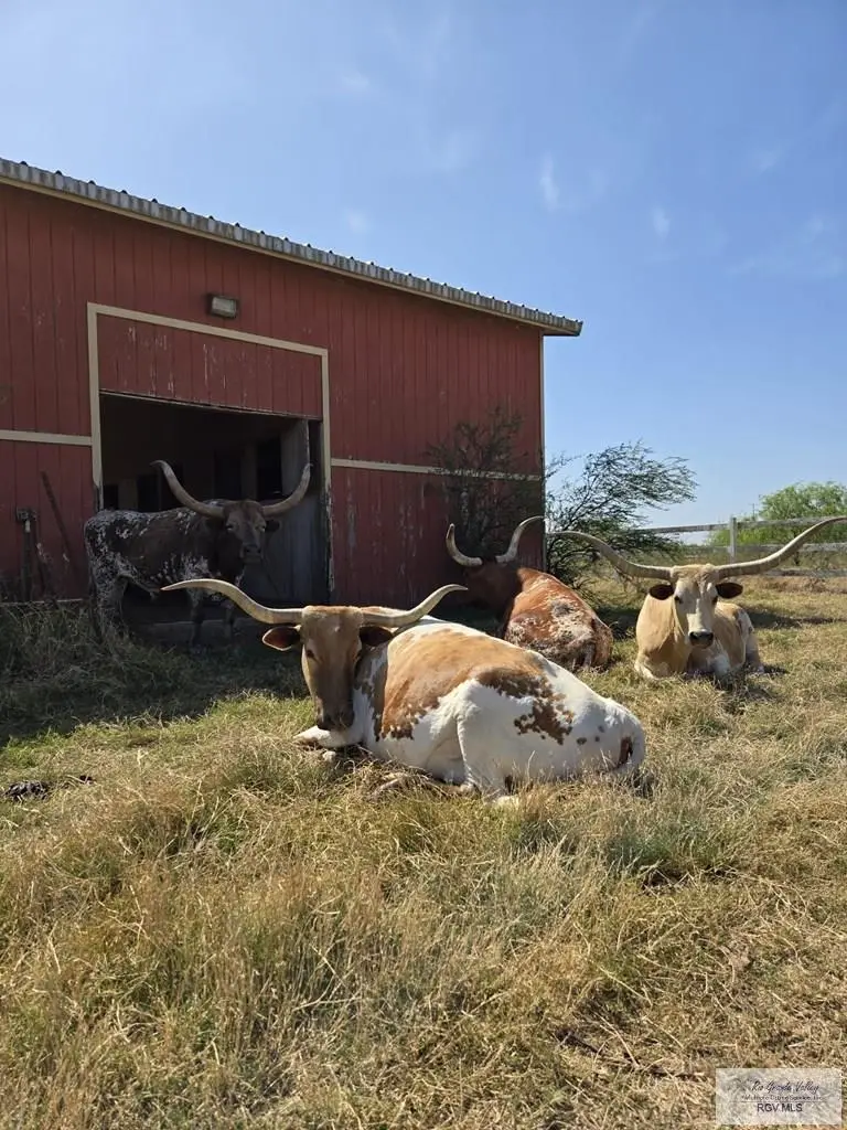 000 W Fm 675, San Benito, TX 78586 - #2