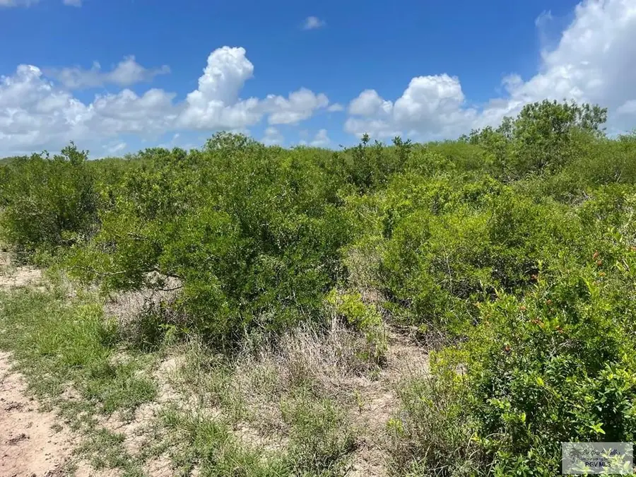 939.12 Acres State Highway 100, East Cameron, TX 78566 - #3