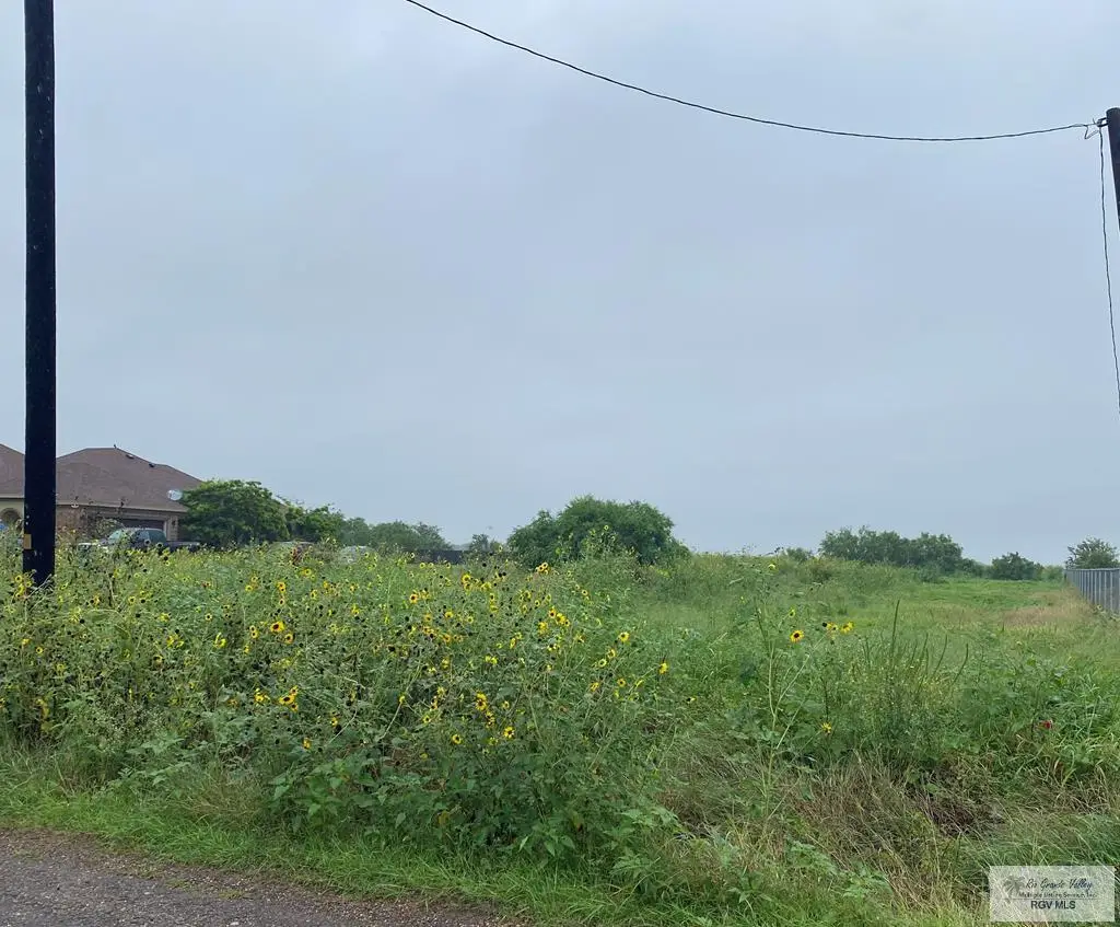 28339 Glenview Rd, Rio Hondo, TX 78583 - #1
