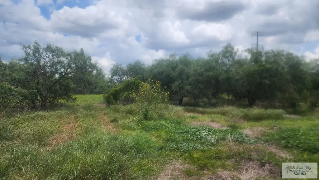 31099 Fm 1575, Los Fresnos, TX 78566 - #1