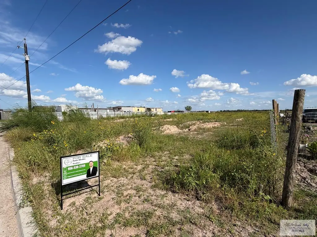 3919 BEAUX 12 Mile North, Mercedes, TX 78570 - #1