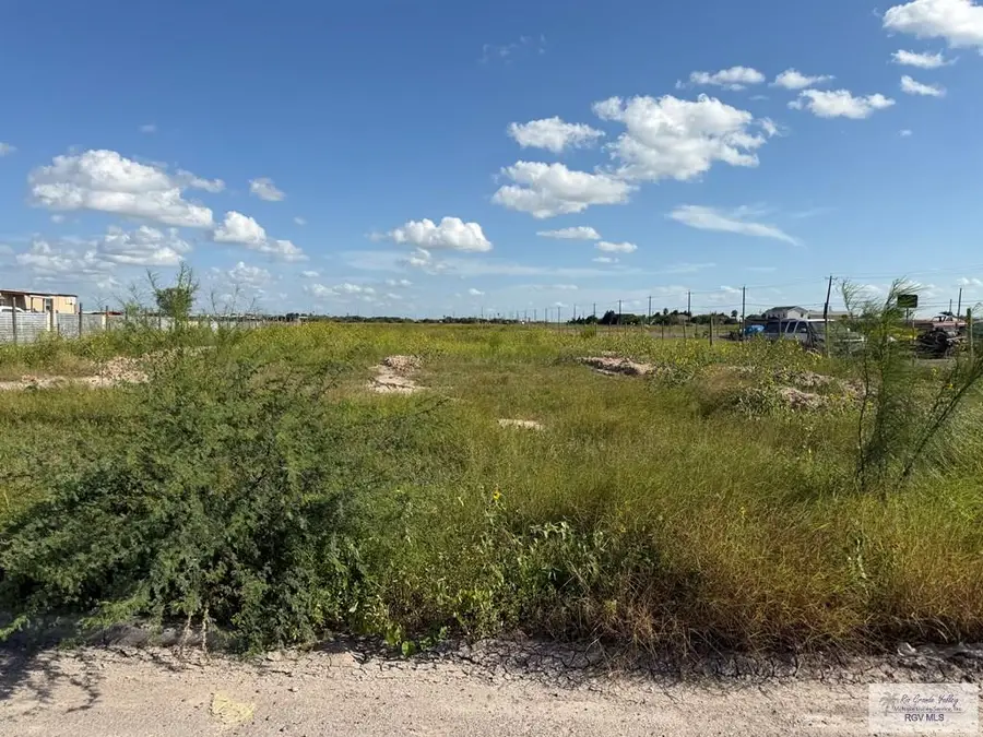 3919 BEAUX 12 Mile North, Mercedes, TX 78570 - #2