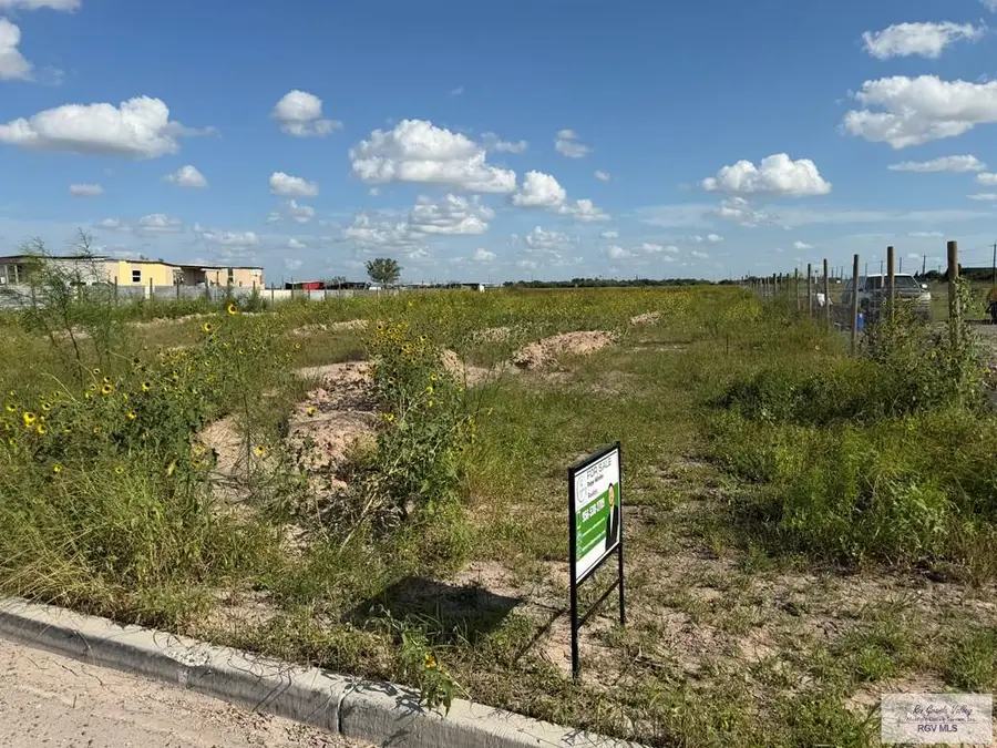 3919 BEAUX 12 Mile North, Mercedes, TX 78570 - #3