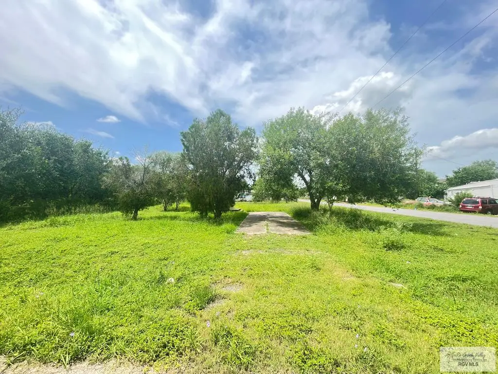 29972 Strong, Lozano, TX 78568 - #1