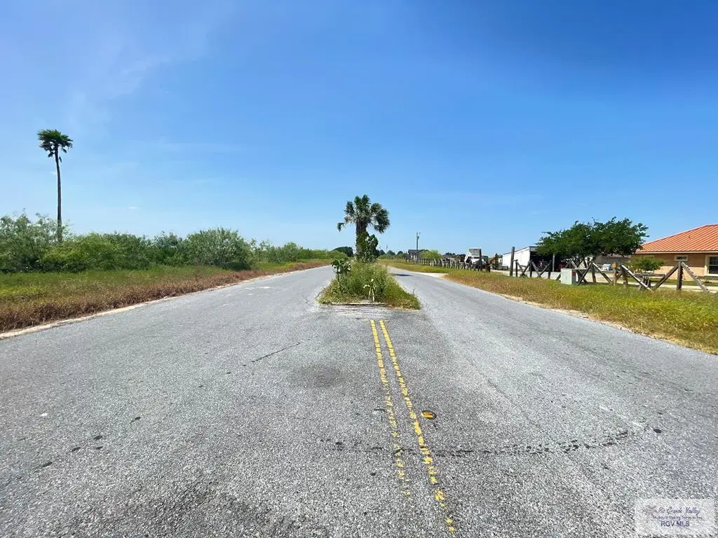 29299 Green Valley Dr., San Benito, TX 78586 - #1