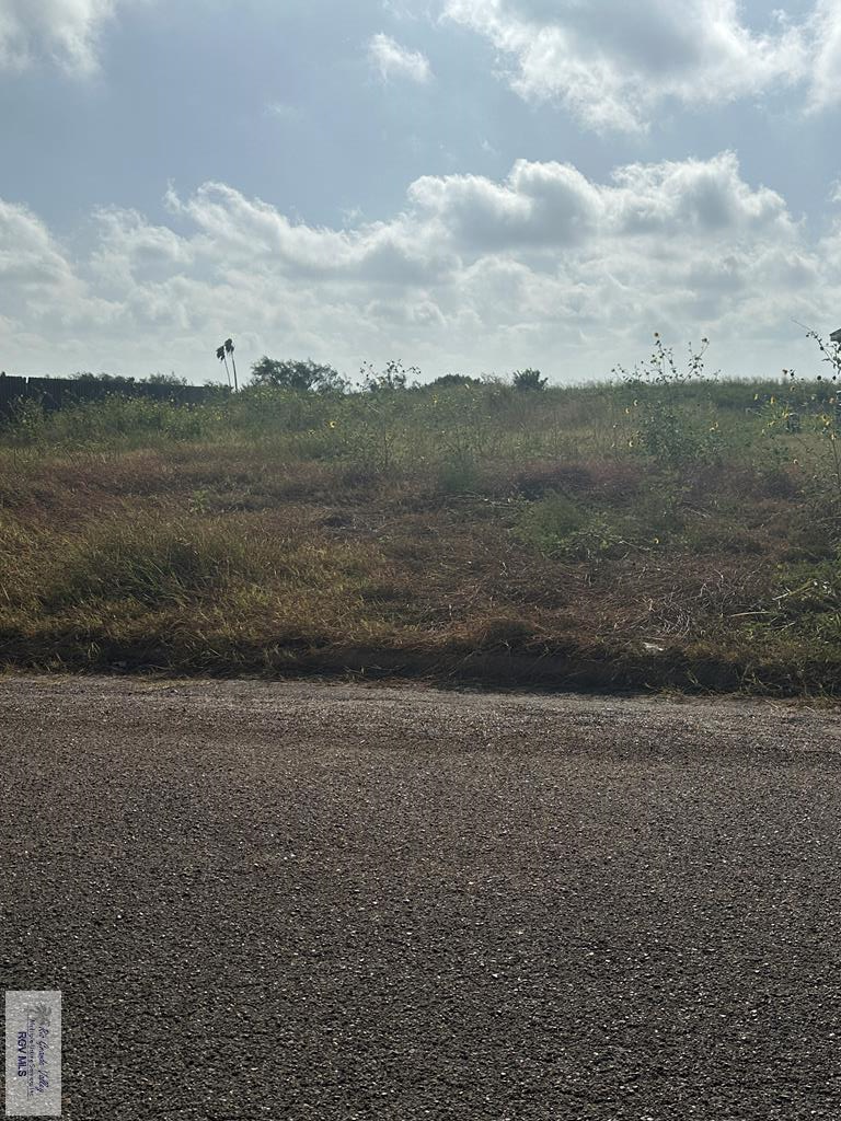 000 Meredith St. #18, La Feria, TX 78559 - #1