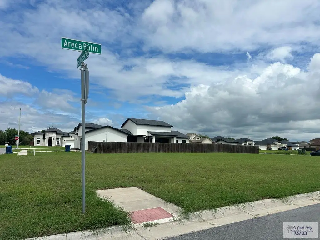 00 Areca Palm, Brownsville, TX 78526 - #1