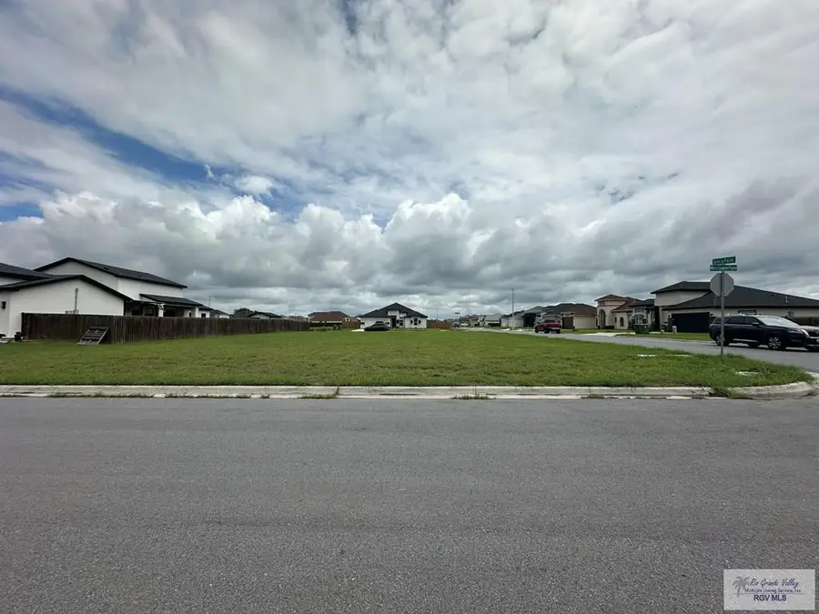 00 Areca Palm, Brownsville, TX 78526 - #2