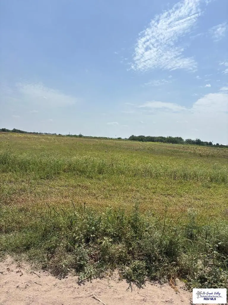 00 E Cantu Rd., La Feria, TX 78570 - #1