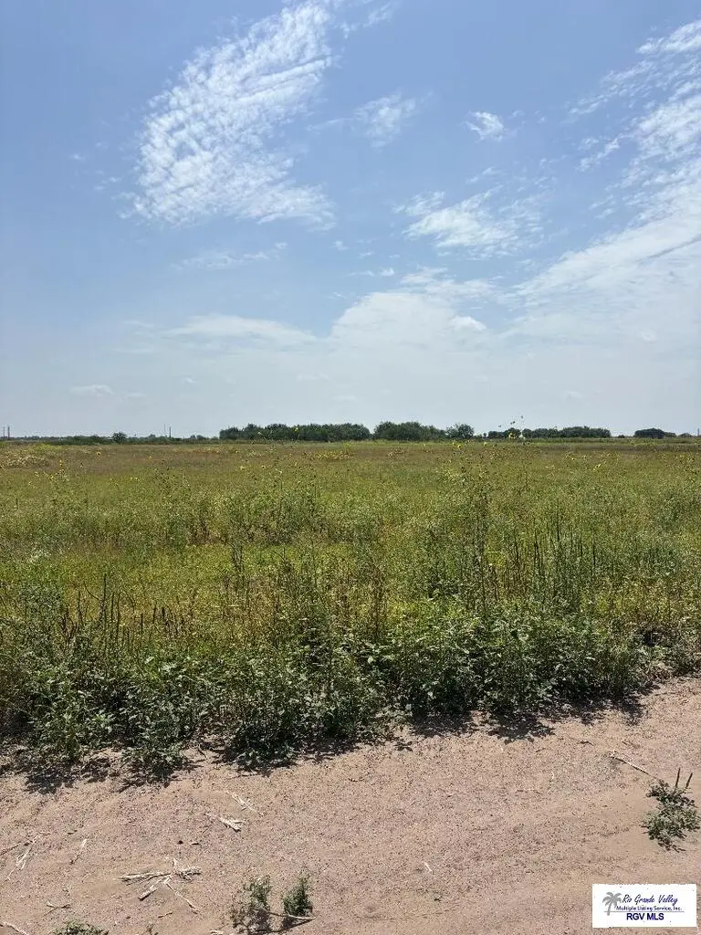 00 E Cantu Rd., La Feria, TX 78570 - #3