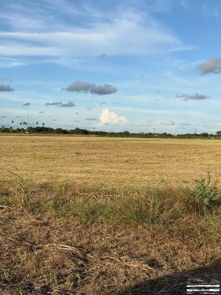 0 Cantu Rd., Santa Rosa, TX 78593 - #2