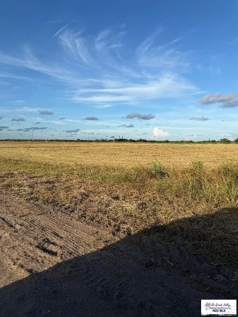 0 Cantu Rd., Santa Rosa, TX 78593 - #3