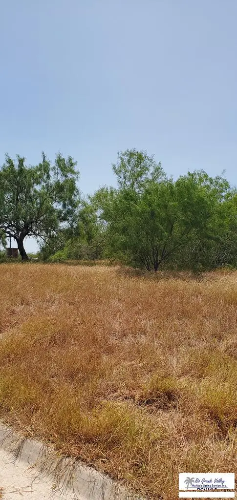 0 Circulo Paradise, SAN BENITO, TX 78586