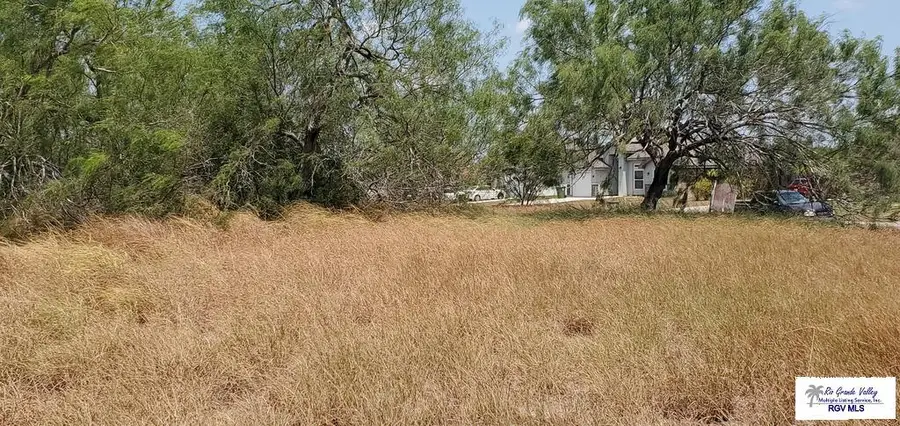 0 Circulo Paradise, San Benito, TX 78586 - #3