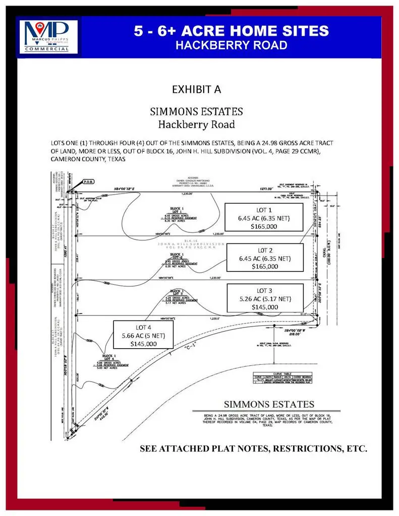 6.45 AC Hackberry Rd #LOT 1, Rangerville, TX 78586 - #3