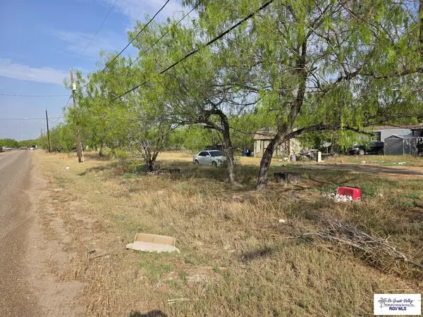 703 E Los Charcos Dr, PALMVIEW, TX 78572