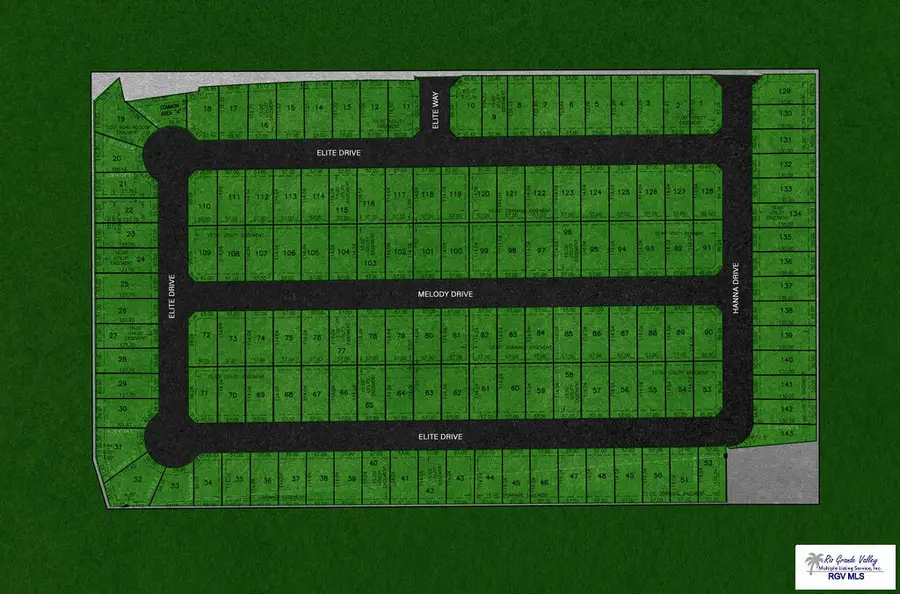 42 ACRES Oscar Williams Rd., San Benito, TX 78586 - #2