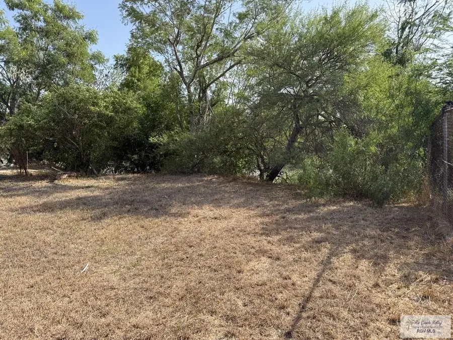Lot 16 Laguna Madre Dr. #Lot 16, Brownsville, TX 78521 - #3