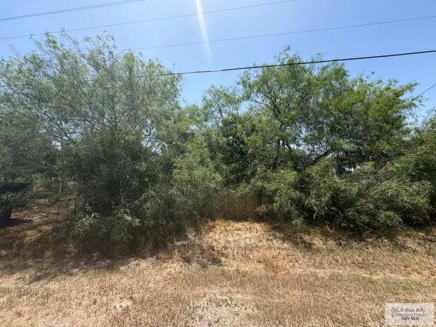 32924 Fm 1575 #28, San Benito, TX 78586 - #2