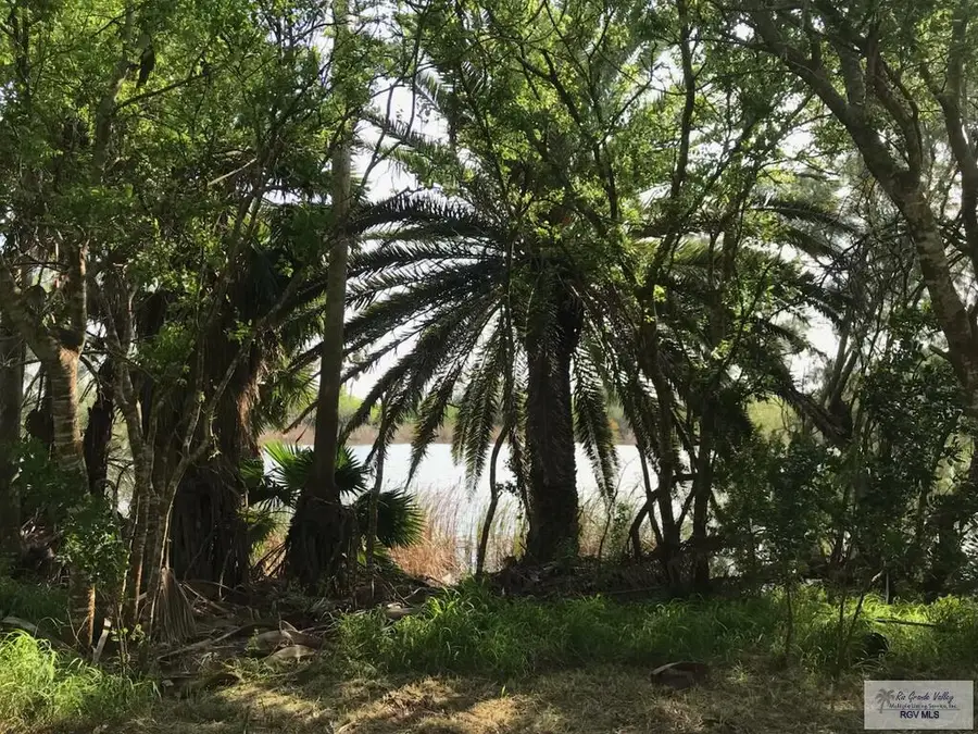 Lot 14 Palm Ln., Los Fresnos, TX 78566 - #3