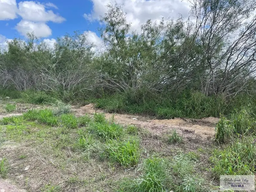Lot 3 Resaca Bend #Lot 3, Rancho Viejo, TX 78575 - #2