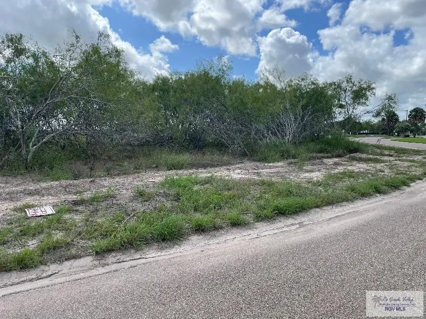 Lot 4 Resaca Bend #Lot 4, Rancho Viejo, TX 78575 - #3