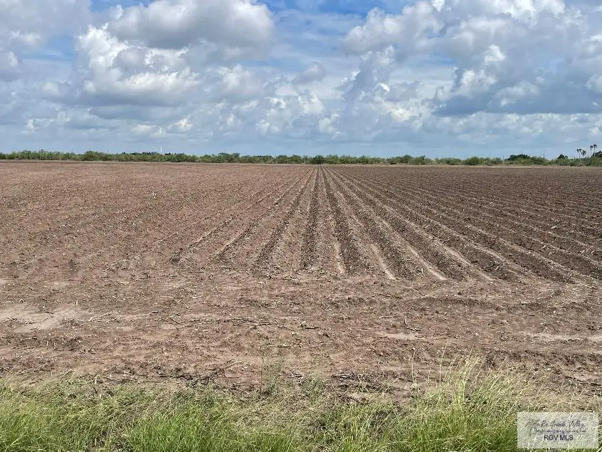 37 Acres Nelson Rd., San Benito, TX 78586 - #3