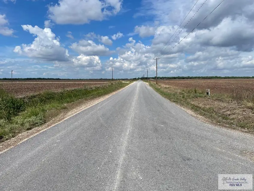 90 Acres Nelson Rd., San Benito, TX 78586 - #3