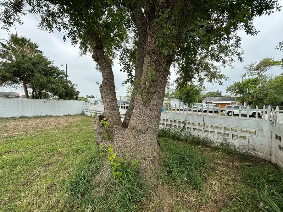 107 Buchanan St., Laguna Heights, TX 78578 - Image #3