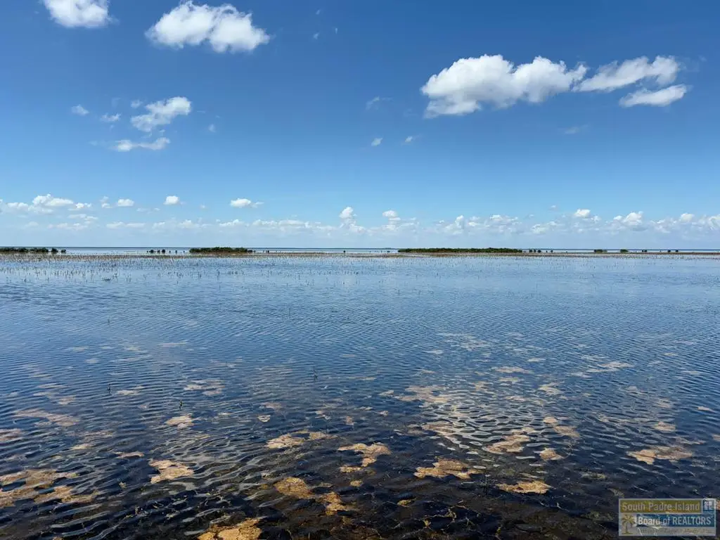 Abst 260 W Ocean Blvd., South Padre Island, TX 78597 - #1