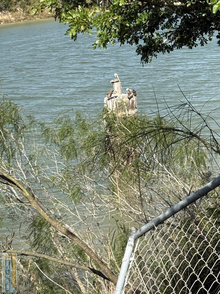 900 N Arroyo Blvd., Rio Hondo, TX 78583 - Image #3