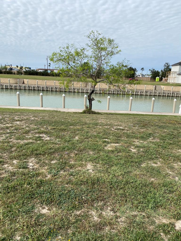 Lot 20 Captain Kidd, Port Isabel, TX 78578 - #1