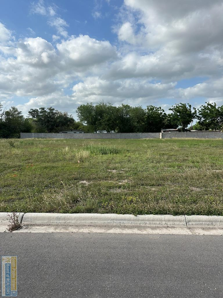 3726 Donovan Circle, Harlingen, TX 78552 - #1