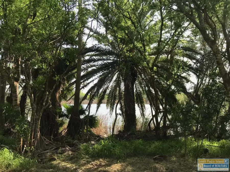 Lot 14 Palm Dr, Bayview, TX 78566 - #3