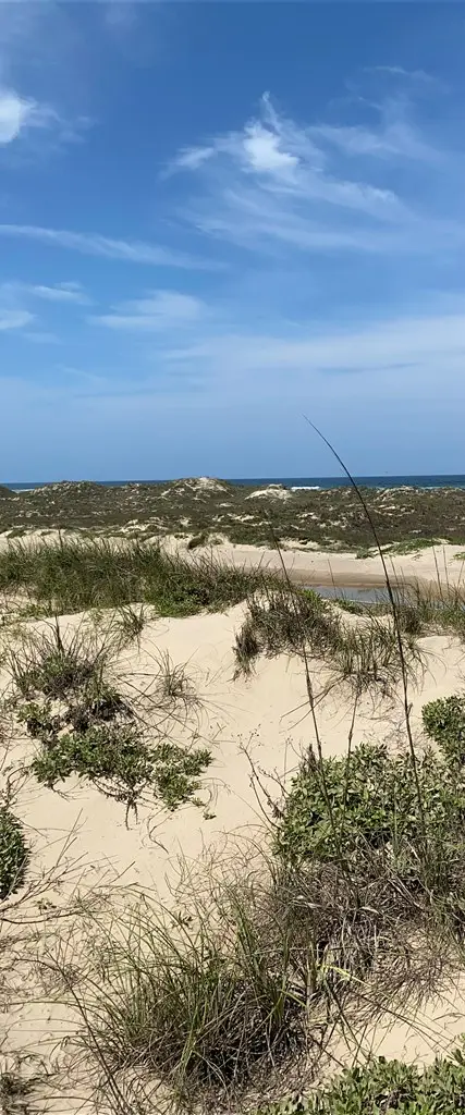 Tract 21 Ocean Blvd., South Padre Island, TX 78597 - Image #3