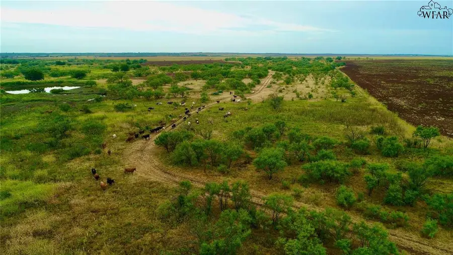 280 Acres HERRING ROAD, Olney, TX 76364 - Image #3