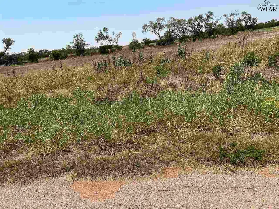 TRACT 12 HODGES ROAD, Iowa Park, TX 76367-0000 - Image #2