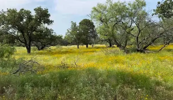 320 PUMPHREY ROAD, Loving, TX 76460