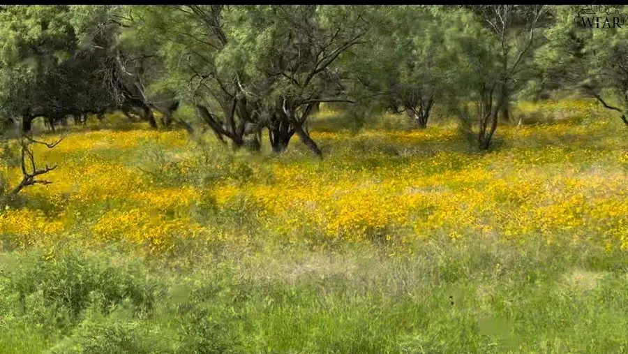 320 PUMPHREY ROAD, Loving, TX 76460 - Image #2