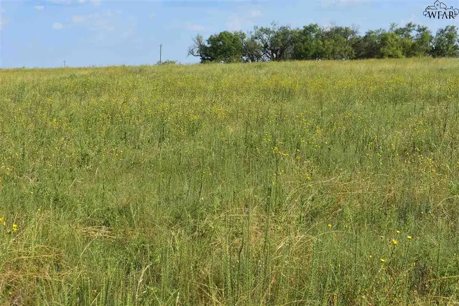 TBD RODGERS ROAD, Olney, TX 76374 - Image #3