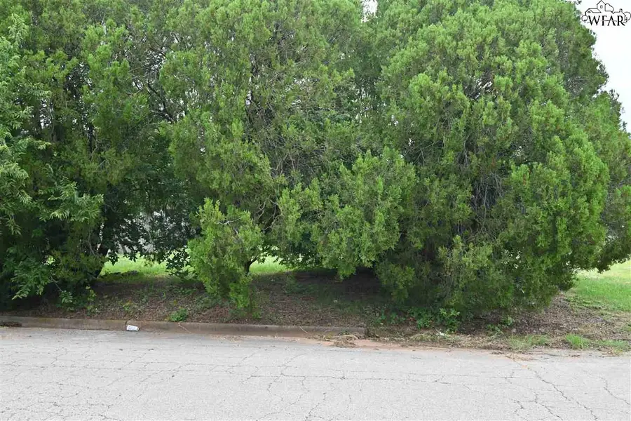 1321 36TH STREET, Wichita Falls, TX 76302 - Image #3