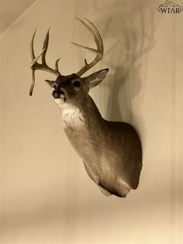 FM 1286, Seymour, TX 76380