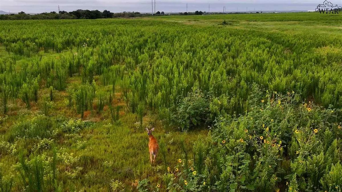 HWY 287, Quanah, TX 79252 - Image #1