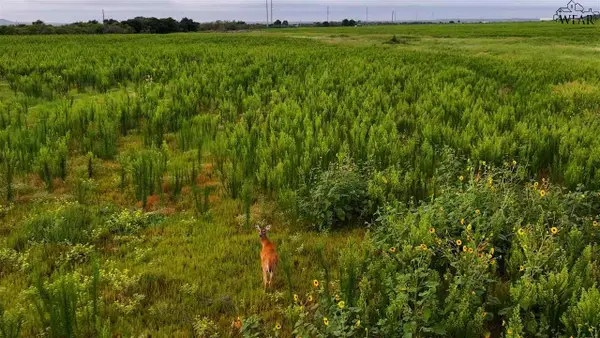 HWY 287, Quanah, TX 79252