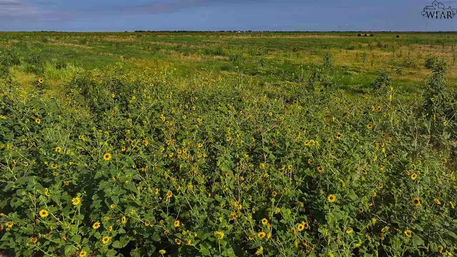 WOFFORD ROAD, Quanah, TX 79252 - Image #3