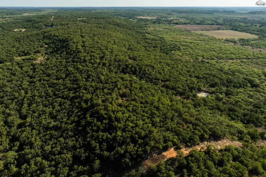 16586 S HWY 183, Cisco, TX 76437 - Image #3